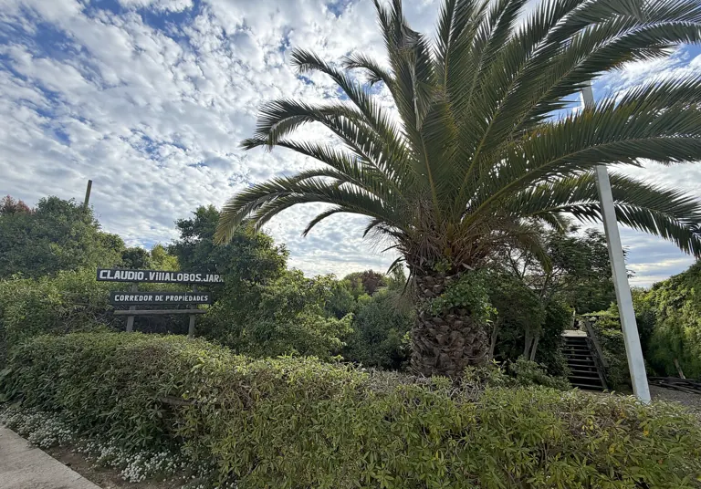 Letrero de Claudio Villalobos Jara, corredor de propiedades, junto a una palmera en la entrada de la oficina