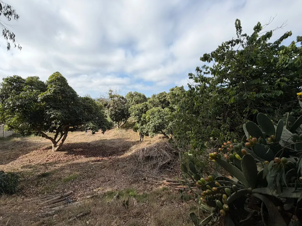 Terreno de 1.500 m² en Los Morros, Rocas de Santo Domingo, fotografía 2