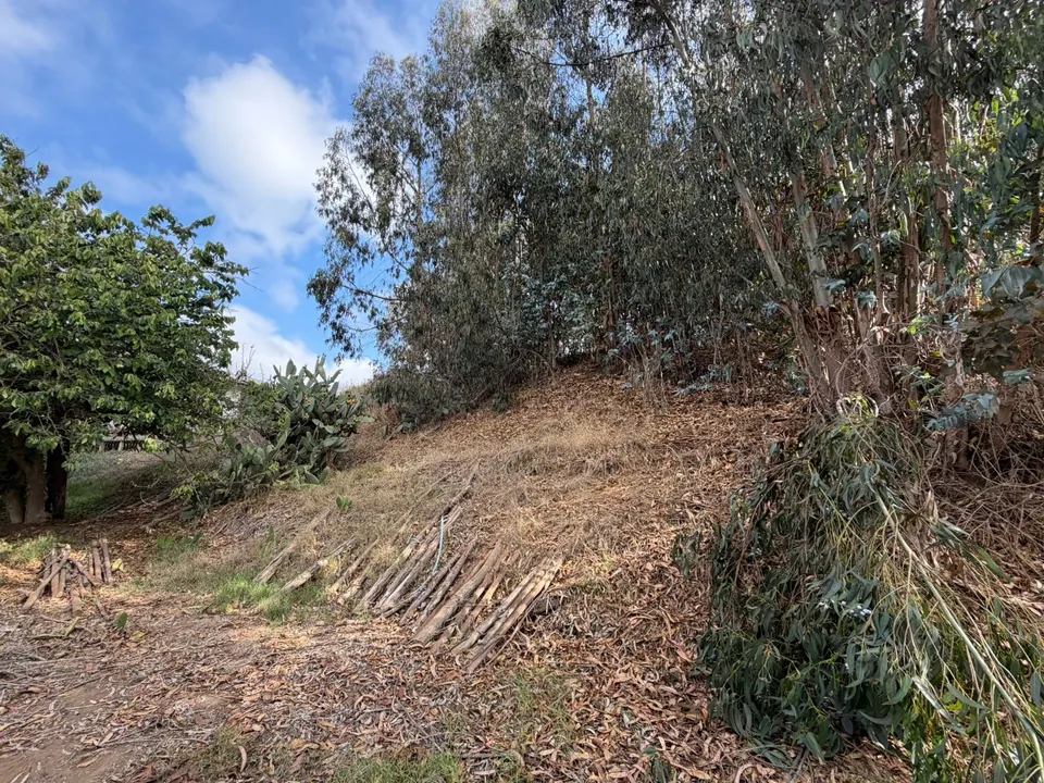 Terreno de 1.500 m² en Los Morros, Rocas de Santo Domingo, fotografía 5