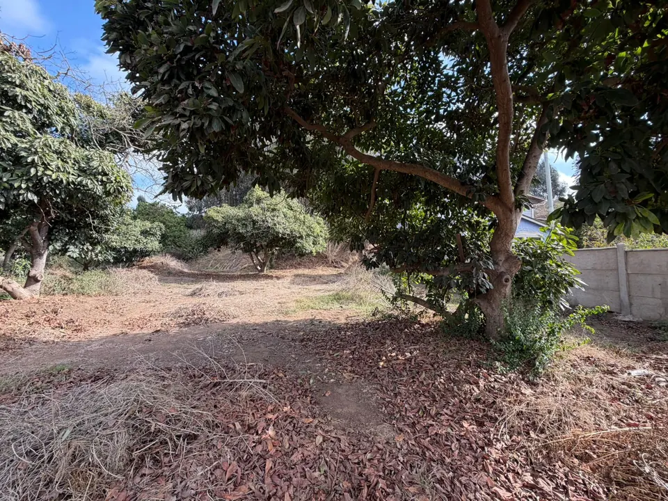 Terreno de 1.500 m² en Los Morros, Rocas de Santo Domingo, fotografía 6