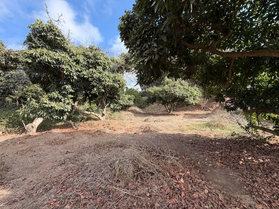 Terreno de 1.500 m² en Los Morros, Rocas de Santo Domingo, fotografía 7