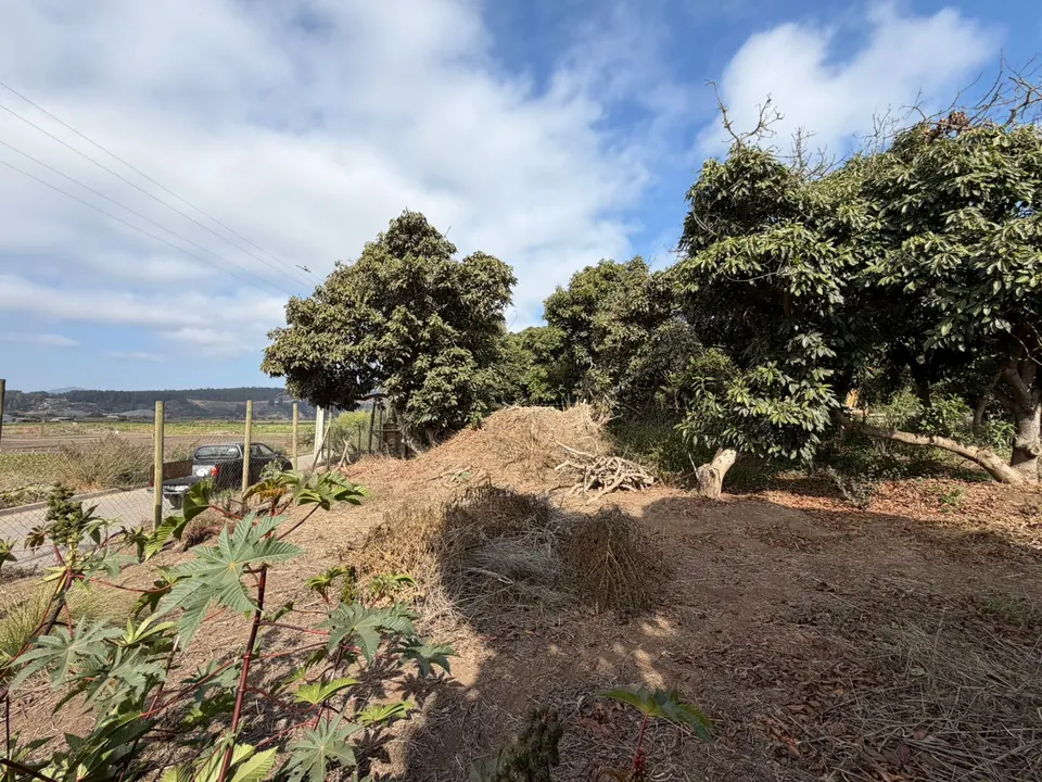Terreno de 1.500 m² en Los Morros, Rocas de Santo Domingo, fotografía 8