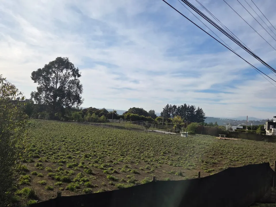 Parcela plana y cercada de 5.186 m² en La Princesa, fotografía 2