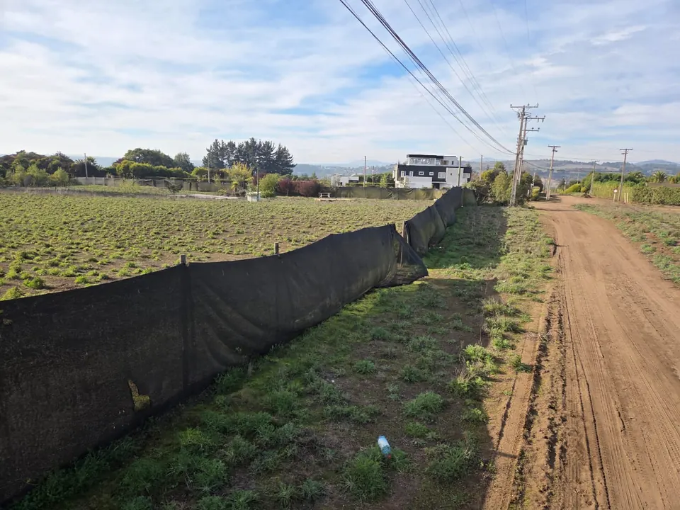 Parcela plana y cercada de 5.186 m² en La Princesa, fotografía 6