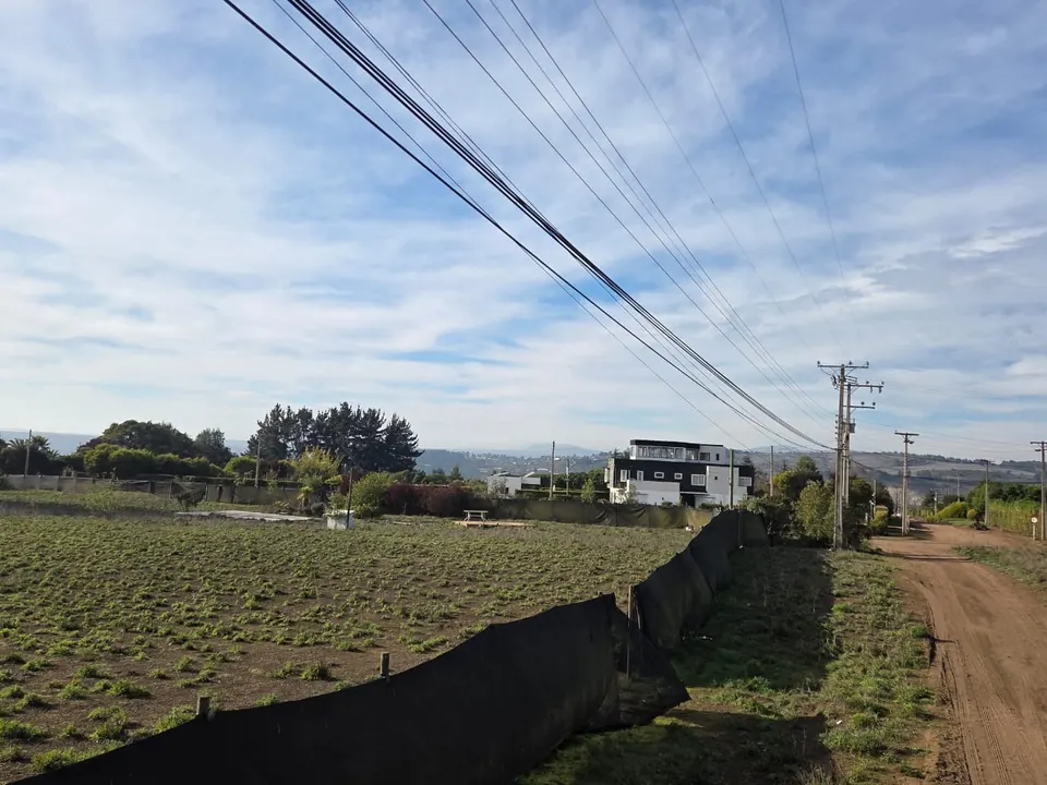 Parcela plana y cercada de 5.186 m² en La Princesa, fotografía 7