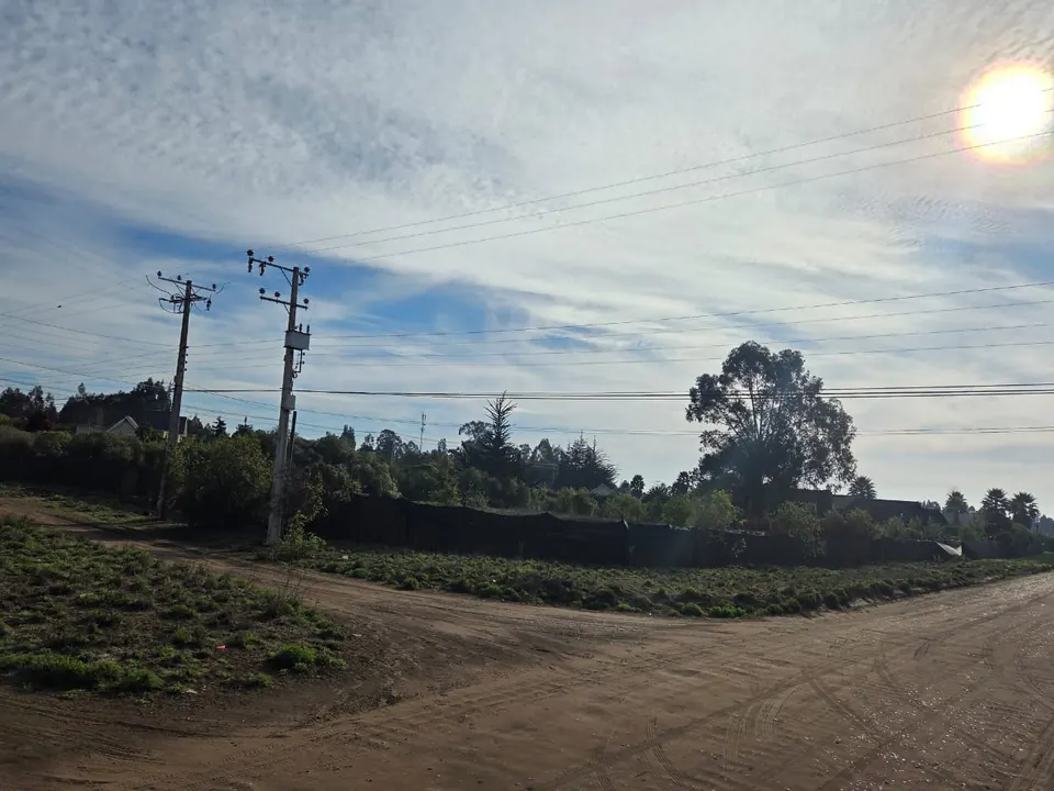 Parcela plana y cercada de 5.186 m² en La Princesa, fotografía 8