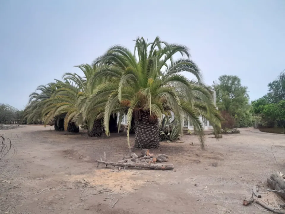 Parcela de 5.000 m² con cabaña en La Princesa, Santo Domingo, fotografía 3