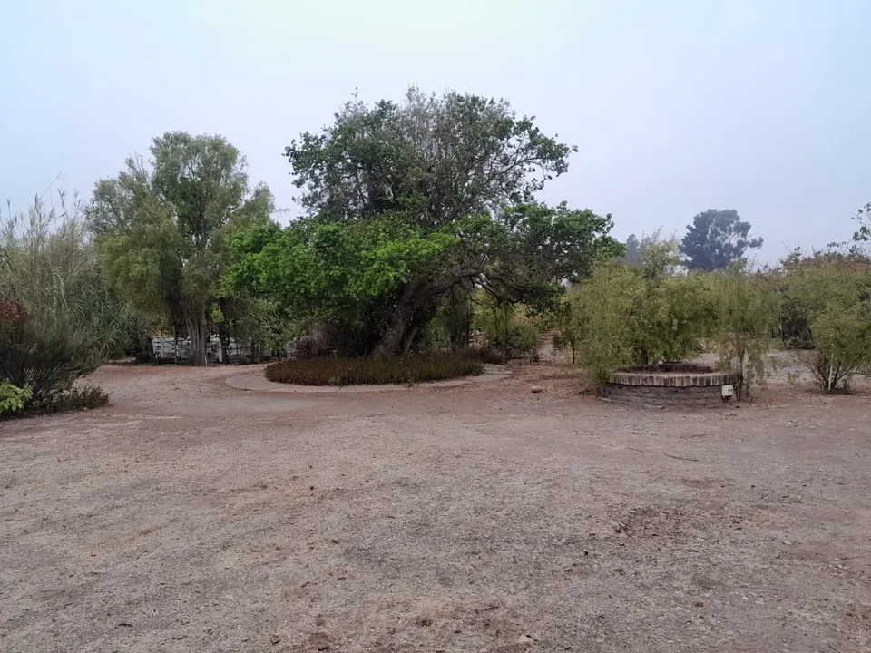 Parcela de 5.000 m² con cabaña en La Princesa, Santo Domingo, fotografía 12