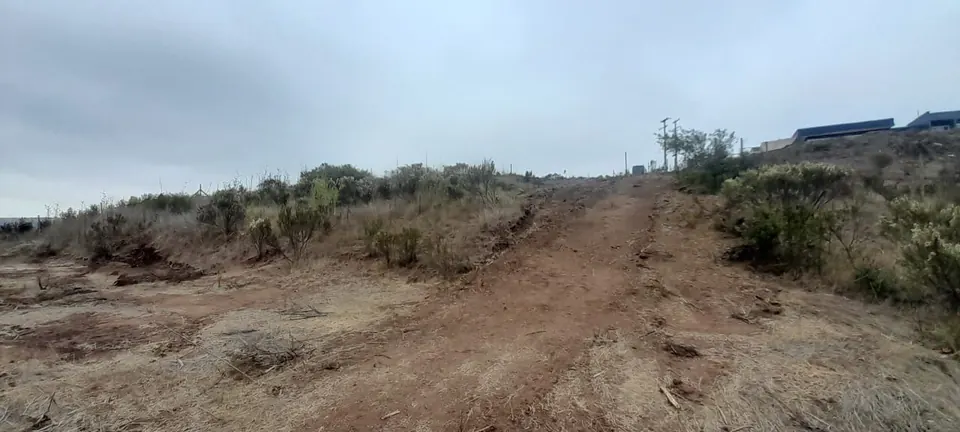 Terreno de 5.000 m² con vista al río Maipo en La Princesa, fotografía 2