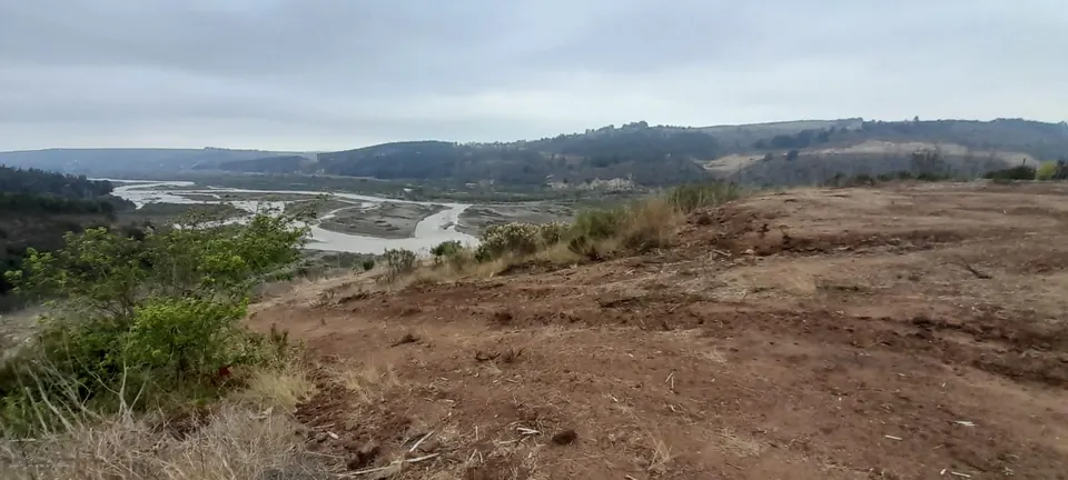 Terreno de 5.000 m² con vista al río Maipo en La Princesa, fotografía 3