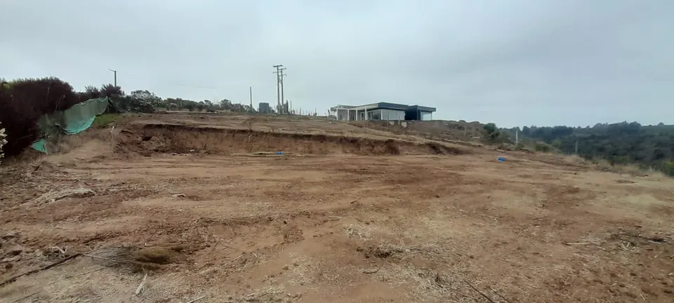 Terreno de 5.000 m² con vista al río Maipo en La Princesa, fotografía 4