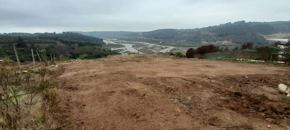 Terreno de 5.000 m² con vista al río Maipo en La Princesa, fotografía 5