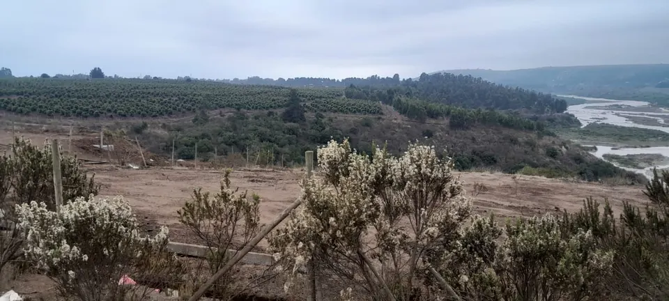 Terreno de 5.000 m² con vista al río Maipo en La Princesa, fotografía 6