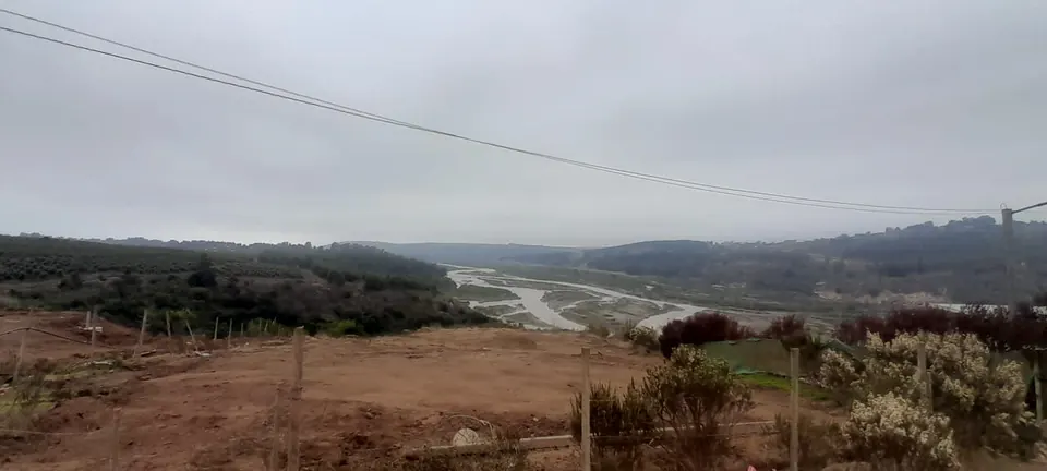Terreno de 5.000 m² con vista al río Maipo en La Princesa, fotografía 14