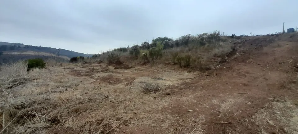 Terreno de 5.000 m² con vista al río Maipo en La Princesa, fotografía 15
