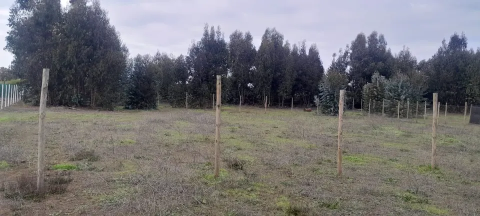 Terreno de 1.250 m² en Rocas de Santo Domingo, fotografía 5