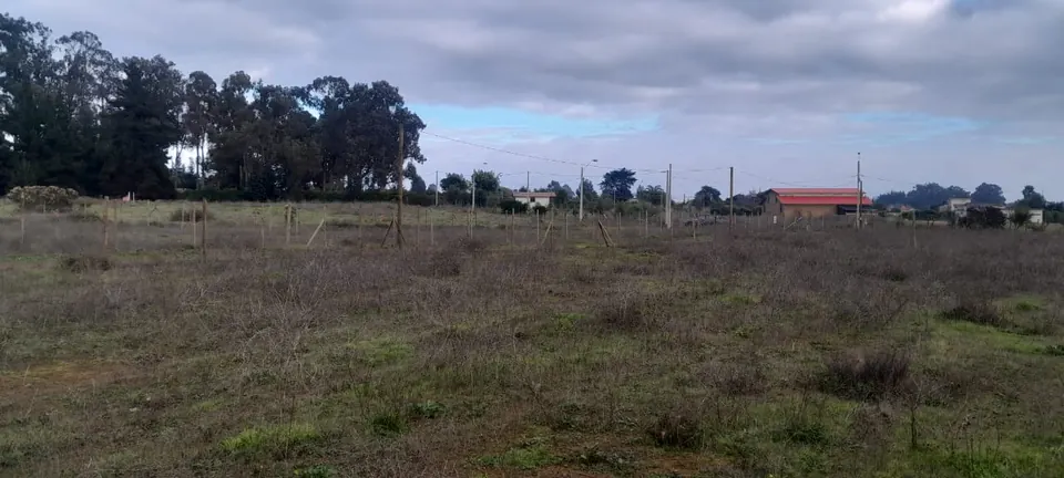 Terreno de 1.250 m² en Rocas de Santo Domingo, fotografía 7